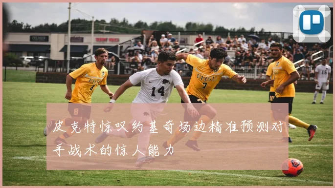 皮克特惊叹约基奇场边精准预测对手战术的惊人能力